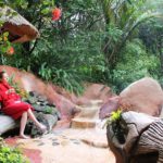 the lost spring package