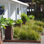 Front Yard of the best rated B&B in the south pacific - Wairua Lodge